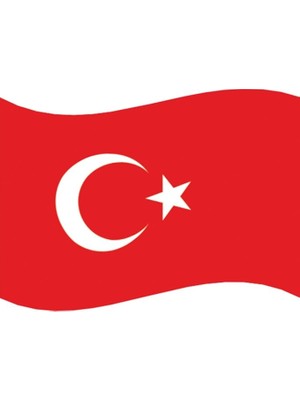 Misda Store cm Türk Bayrağı Alpaka KUMAŞ(T09)