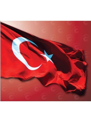 Lidyahan Store Bayrağı Alpaka Kumaş 400X600 cm