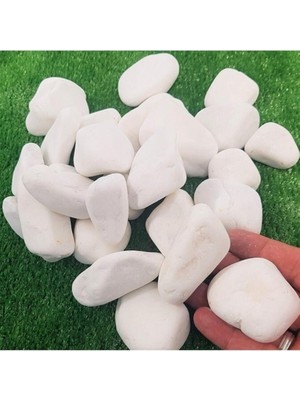 Dolomit Taş 25 kg 2-4 cm Beyaz Dolomit Taş Saksı Dibi Dekoratif Taş Bahçe Süsleme Taşı Peyzaj Taşı