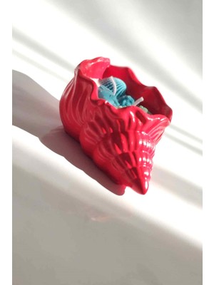 Özgürce Renkli Deniz Kabuğu Mumluk, %100 Doğal Soya Mum, El Yapımı Dekorasyon