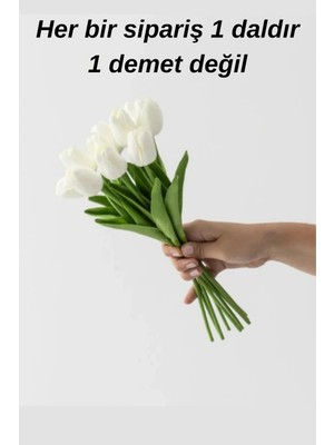 Handanca 1 Adet Beyaz Renkli Çınar Islak Lale – Yapay Dekor, Masa Süsü Koza Gift
