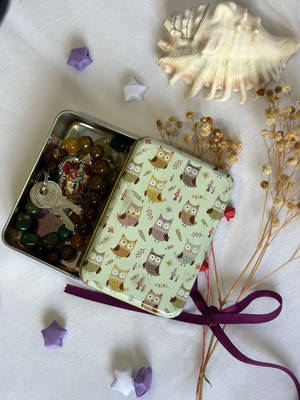 Özgürce Baykuş Desenli Çok Amaçlı Metal Kutu, Hediye ve Saklama Çözümü