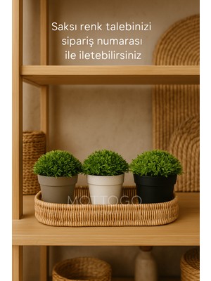 Handanca Dekoratif Yapay Bitki Masa | Ev | Ofis Dekoru-Tek Adet