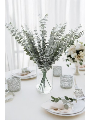 Handanca 5 Dallı Gerçek Dokulu Vintage Okaliptus Demeti 45 cm