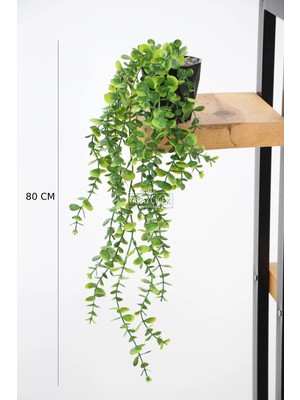 Handanca Yapay Çiçek Yoğun Yapraklı Yeşil Okaliptus Sarkıt Sarmaşık Sarkan Bitki (Siyah Mika Saksılı) 80 cm