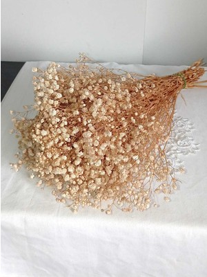 Handanca Cipso Çiçeği Şoklanmış Doğal A Kalite