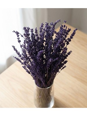 Handanca Şoklanmış Dökülmeyen Dayanıklı Gerçek Lavanta Demeti