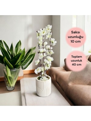 Handanca Beton Saksıda Gerçek Taş Yosunlu Yapay Japon Kiraz Çiçeği,saksı ,aranjman , Ev Dekorasyon,