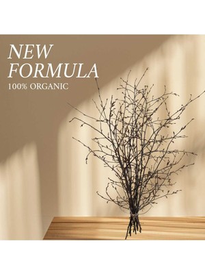 Handanca Doğal Gürgen Dekor Dalı (Natural Renk) – 60/80 cm Rustik El Bağlaması Demet