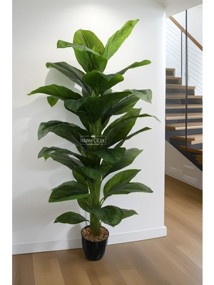 Handanca Yapay Ağaç Yoğun Yapraklı Premium Difenbahya 165 cm Koyu Yeşil (34 Yapraklı)