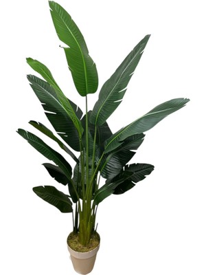 Handanca Yapay Ağaç Starliçe Islak Dokulu 15 Büyük Yapraklı 185 cm