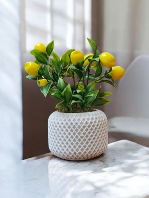Handanca Beton Saksıda Yapay Limon Ağacı Örgü Model 24 cm 3 Dal