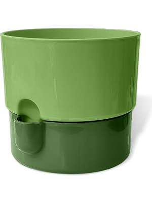 CetKing Dora Saksı Tabaklı Çiçek Kaktüs Saksısı Parlak Plastik Saksı (1 Adet, Yeşil, 2l, 16CM)