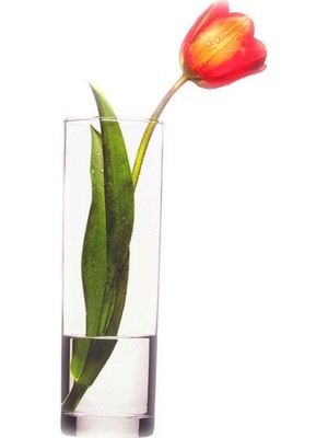 Handanca Silindir Vazo Flora