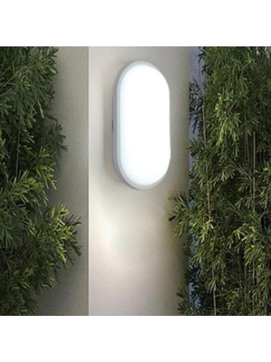 CetKing Tavan Lambası Aydos 20W Oval Balkon Tavan Lambası 6400K Beyaz LED Işık Teras Duvar Lambası (Beyaz)