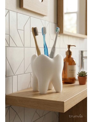 PremiumPort Renkli Diş Fırçalığı ve Koruyucu Kutu Seti