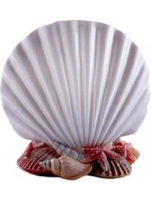 PremiumPort Primanova Inci Diş Fırçalık D-14462 Şık ve Pratik Tasarım