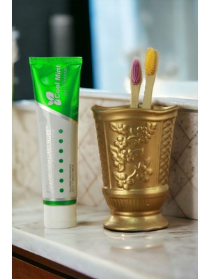 PremiumPort Altın Renkli Diş Fırçası Kabı ve Fırçalık Seti, Şık Tasarım