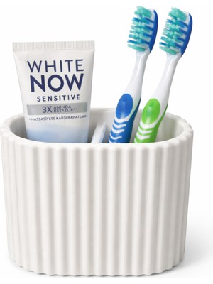 PremiumPort Çok Amaçlı Bölmeli Banyo Organizer, Sert Plastik Diş Fırçası ve Macunu Tutucu