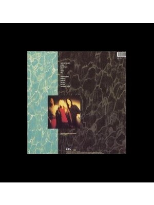 Nirvana - Nevermind (Plak)