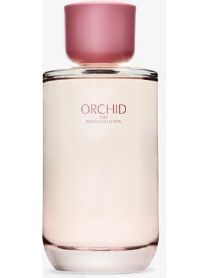 Zara Orchıd Edp 180 ml (6.08 Fl. Oz).