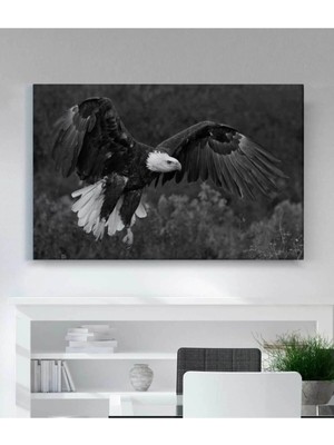 Lona Sanat Kartal Kanvas Tablo
