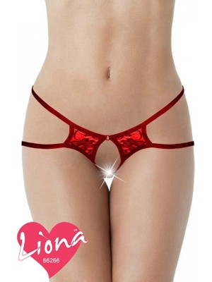 Najmaddin Beruflic Büyük Beden Dantelli Iç Çamaşır Najmaddin