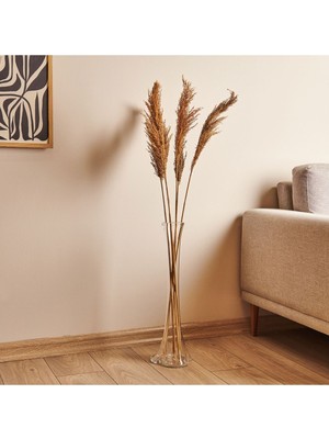 Handanca Fil Ayağı Dekoratif Cam Vazo - Şeffaf - 60 cm