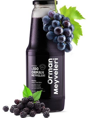 Gümüşsu %100 Orman Meyveleri Suyu - 1 Litre 1 Adet