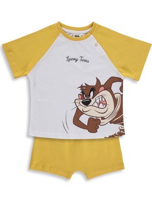 Civil Baby Taz Baskılı 6-18 Ay Takım - Beyaz