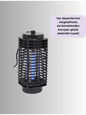 Masa Dostu JY300 Sineklik Tdms-07