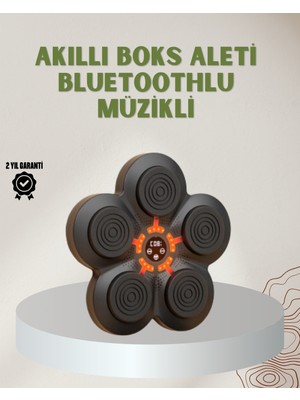 Renklime Bluetoothlu Akıllı Boks Antrenman Cihazı Işıklı Hedefli Kardiyo ve Fitness Aleti
