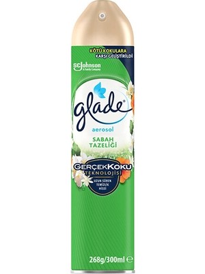 Glade Oda Kokusu Aerosol 300 ml Sabah Tazeliği