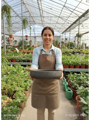Hanımeli Taş Saksı 25*8 cm Yaklaşık