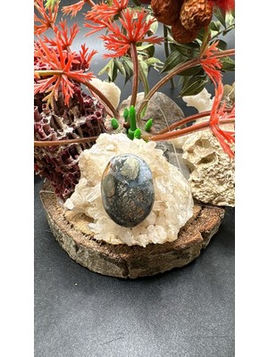 Aries 19.00CT 20.90X15 mm Natural Hipomo Jasper Markazit