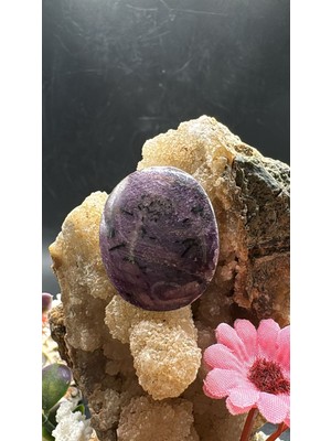 Aries 77.80 Ct 29.2X24.4 mm Natural Star Ruby