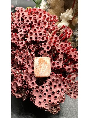 Aries 8.25 Ct 14X11.4 mm Natural Scolosite