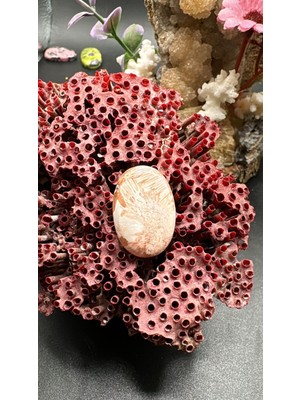 Aries 14.25 Ct 24X16.3 mm Natural Scolosite