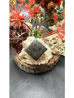 Aries 23.20 Ct 19X18 mm Natural Hipomo Jasper Markazit
