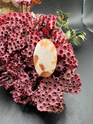 Aries 13.50 Ct 24.6X15.2 mm Natural Scolosite