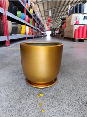 Dekoratif Tabak Gold Taş Saksı