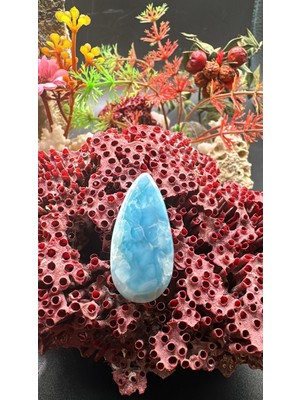Aries 27.90 Ct 32.9X16.1 mm Natural Larimar
