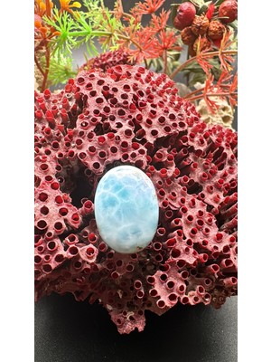 Aries 20.50 Ct 21.5X15.6 mm Natural Larimar