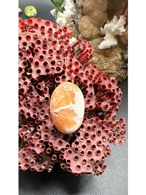 Aries 17.20 Ct 22.5X14.8 mm Natural Scolosite