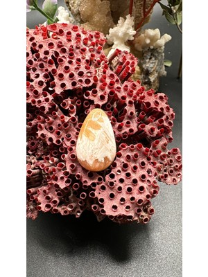 Aries 12.25 Ct 21.7X13.3 mm Natural Scolosite