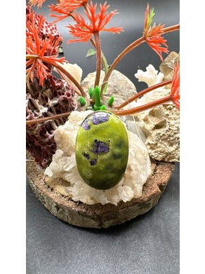 Aries 25.65 Ct 26.2X17.3 mm Natural Atlantisit