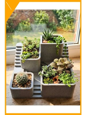 Esplendor Çok Bölmeli Masaüstü Kaktüs Sukulent Saksı Seti 3D Baskı Dekoratif