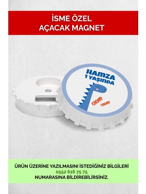 PremiumPort Dinozor Temalı Velociraptor Magnetler, Doğum Günü Hediyesi Kutlama Süsü (10 Adet)