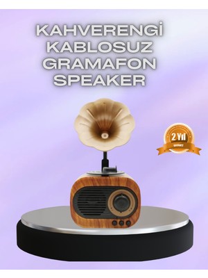 tp Taşınabilir Mini Retro Radyo Bluetooth Hoparlör USB Sd Aux Destekli - Lisinya