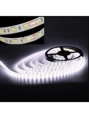 Mikasso 12V 14.4W Beyaz Işık 5 Metre 3 Çipli IP20 Metrede 60 LED Iç Mekan Yapışkanlı Şerit LED Aydınlatma